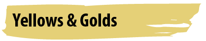 Most Popular Yellow and Gold Paint Colours